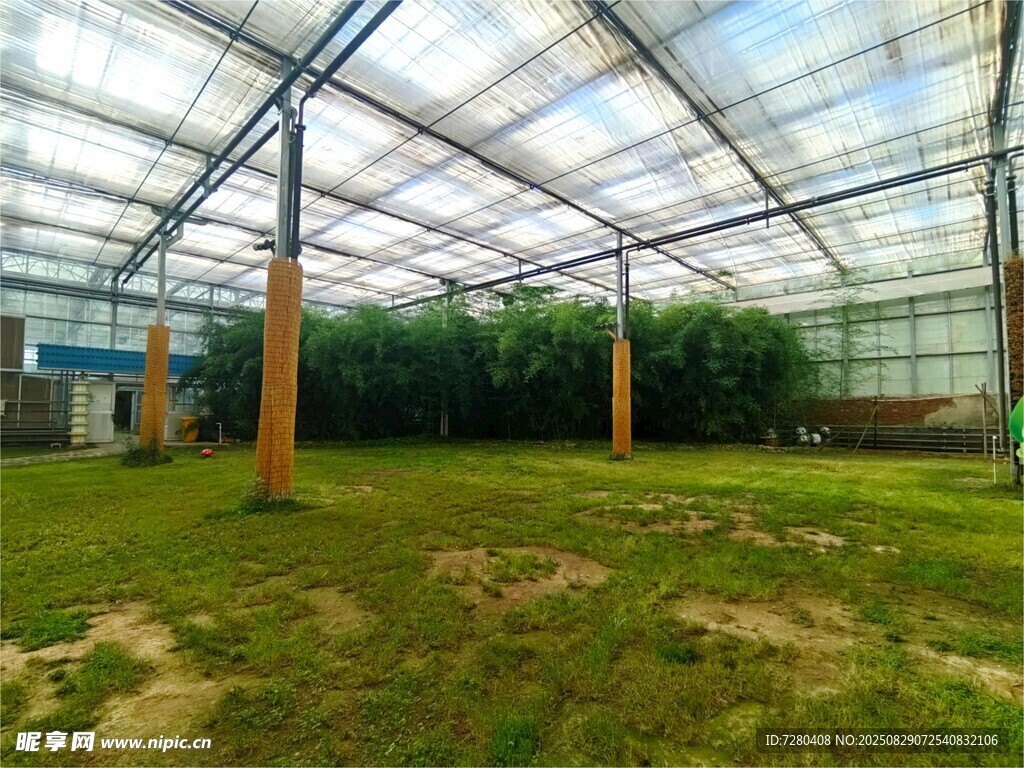 空旷温室大棚内部景观