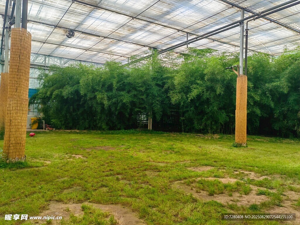 温室绿植景观