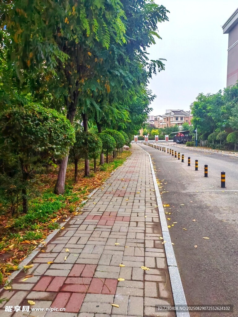 城市中的林荫砖石步道