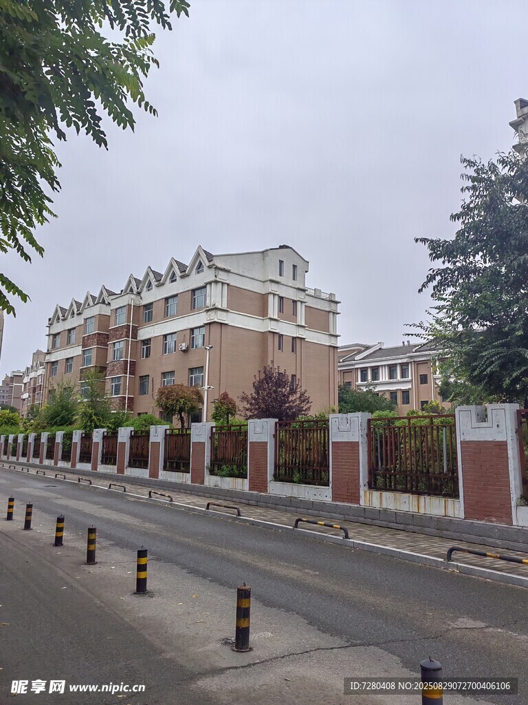 街道旁的多层建筑景观