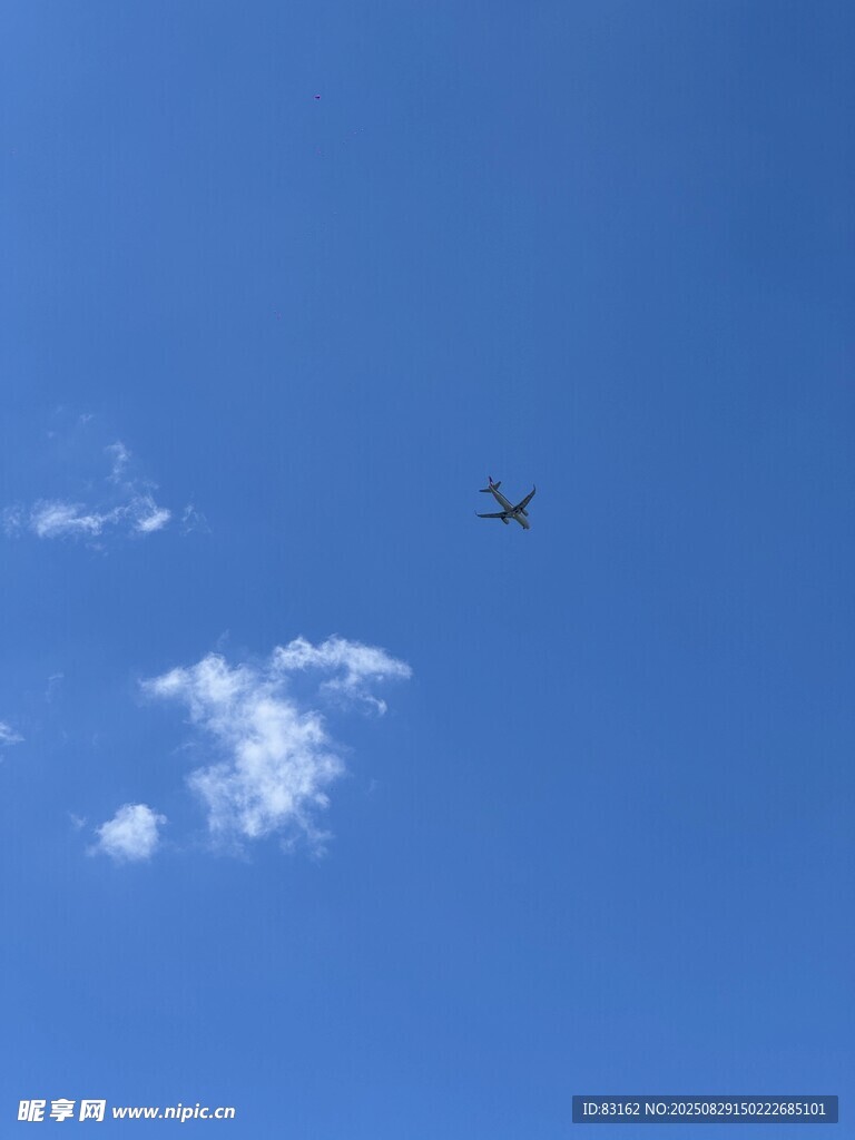 蓝天中翱翔的飞机