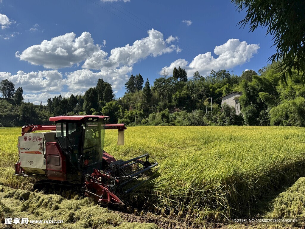 田野中的农机作业场景
