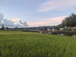 田园风光