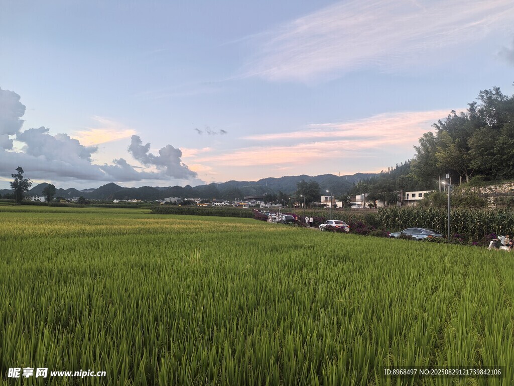 田园风光