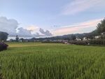 乡间