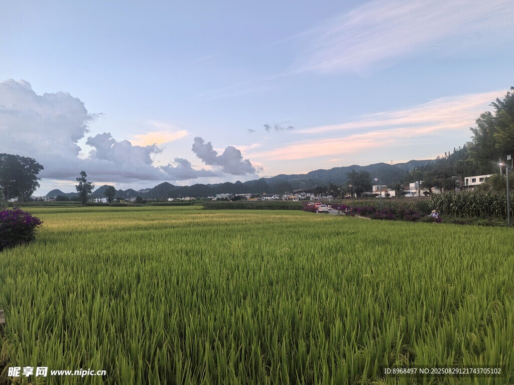 乡间