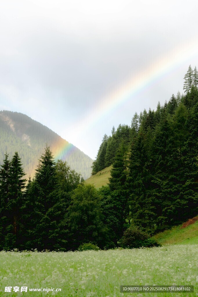 山间草地现绚丽彩虹