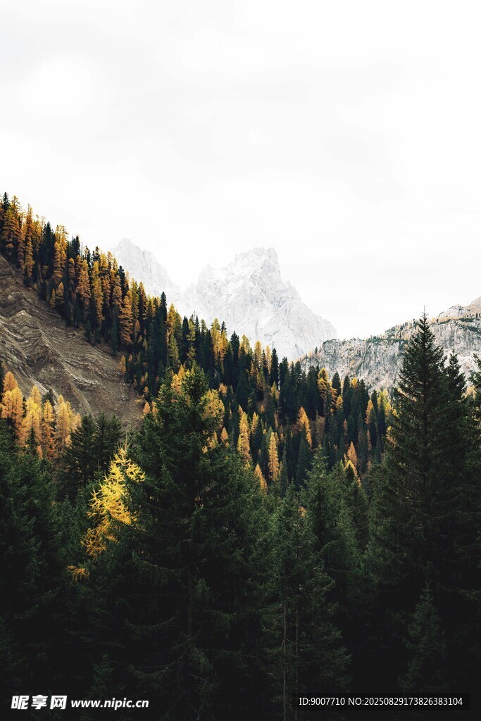 山林秋色 云雾缭绕之景