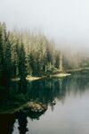 雾中静谧湖畔森林美景