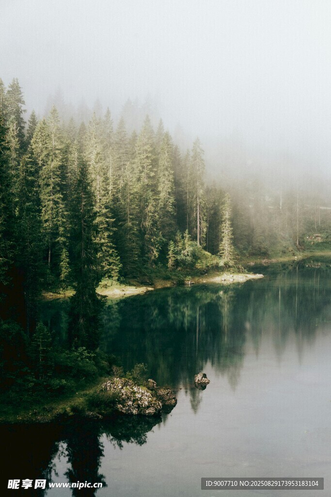 雾中静谧湖畔森林美景
