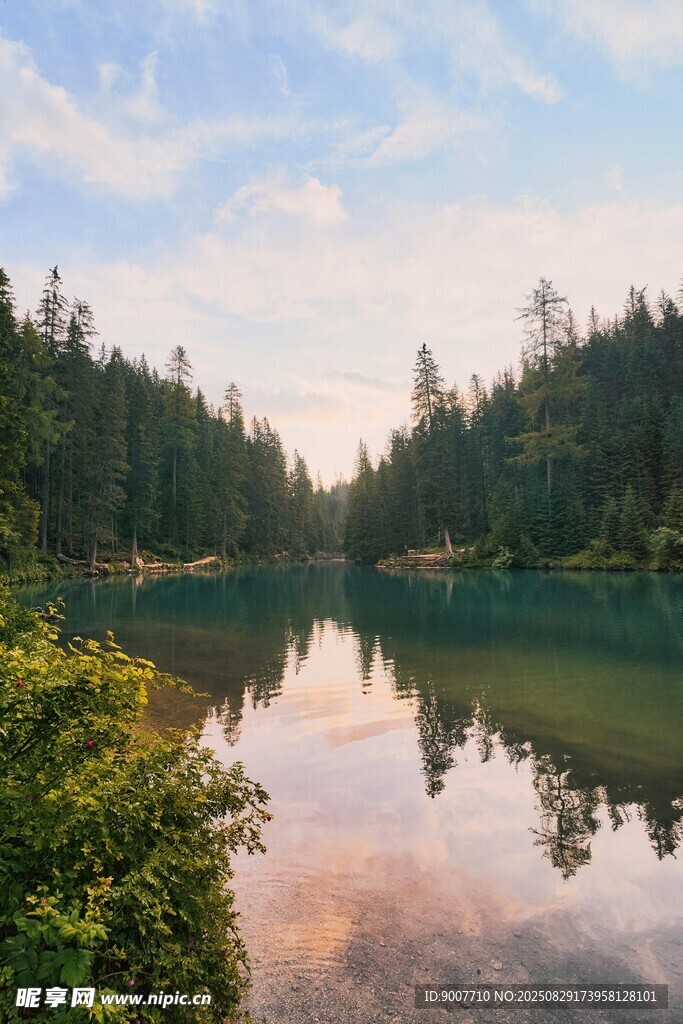 宁静湖畔森林美景