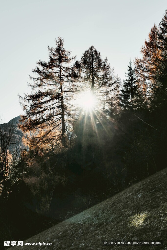 阳光穿透山林美景