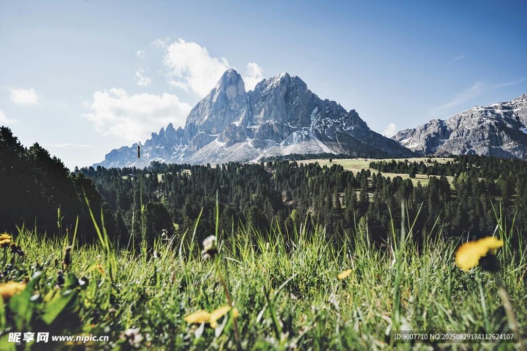 山间草地与壮丽山峰景色