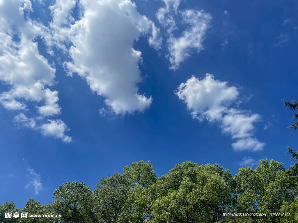 蓝天绿树间的白云美景
