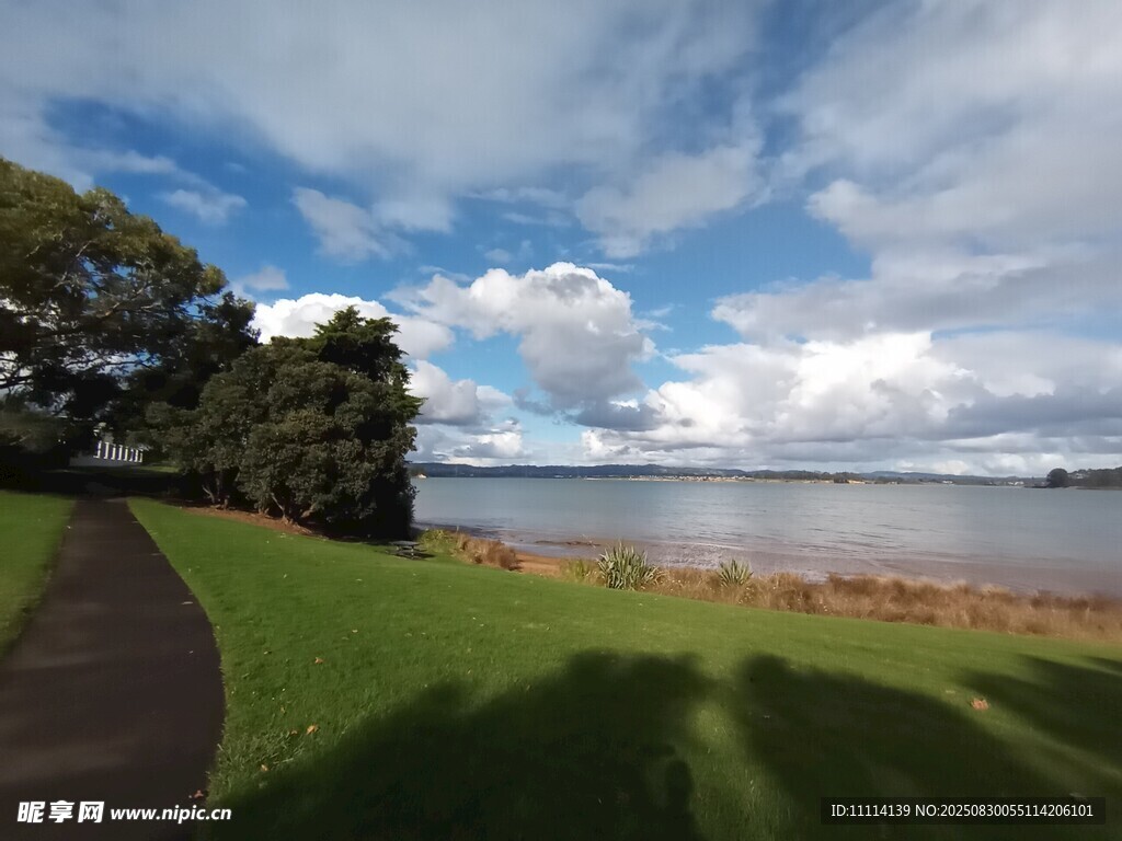海滨绿荫小道风景