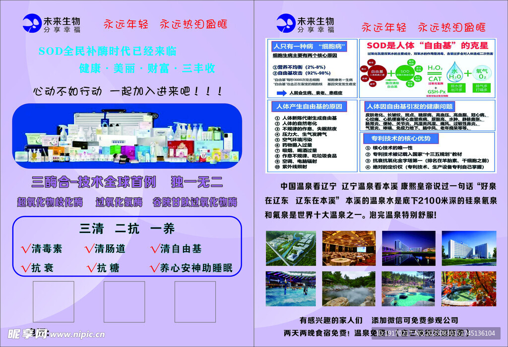 传单