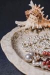 贝壳中的珍珠与珠宝饰品