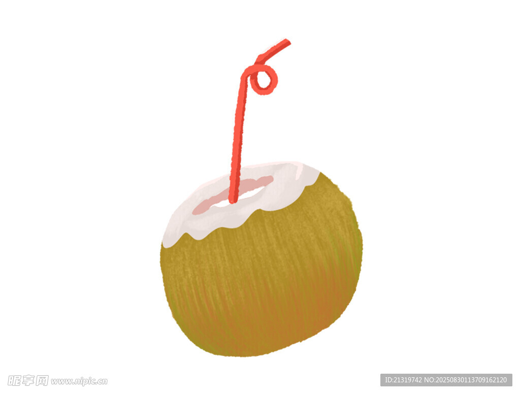 椰子插画素材