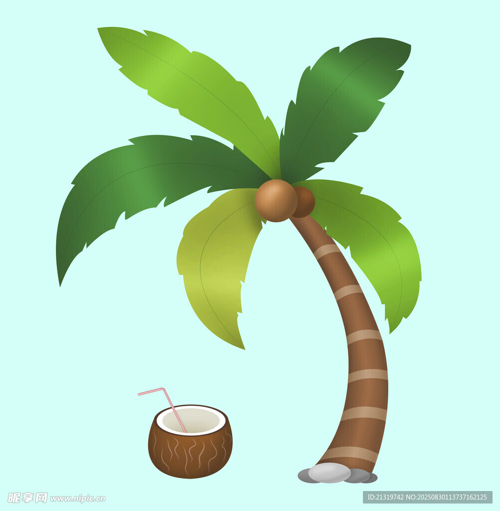 椰树插画