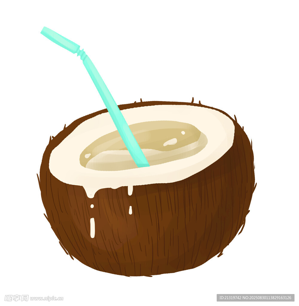 椰子插画