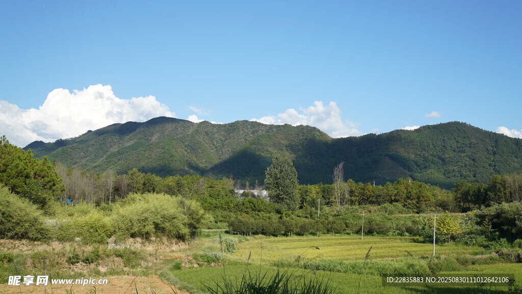 风景图