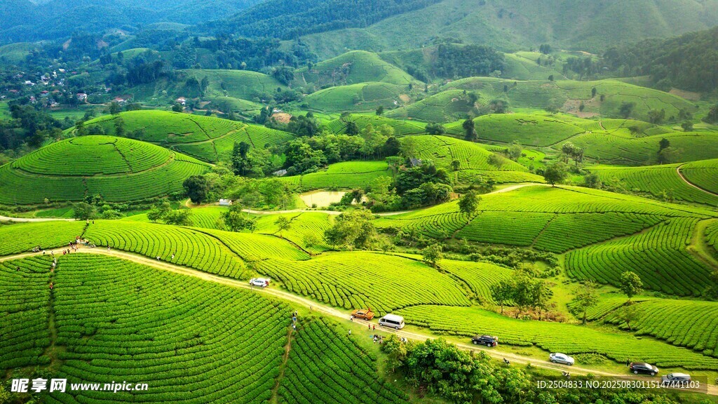 翠绿山丘间蜿蜒小路美景