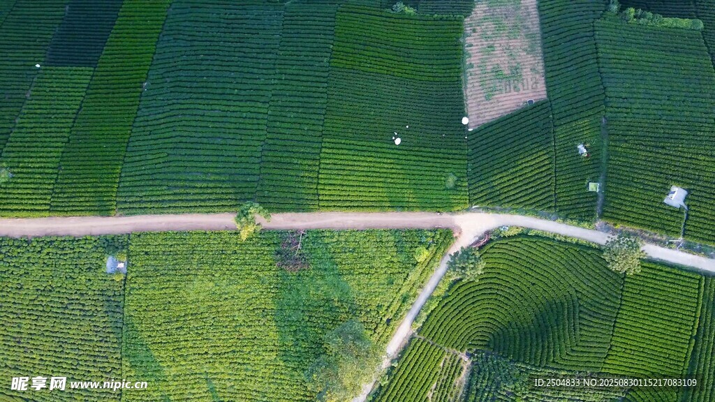 俯瞰田园风光的蜿蜒小路