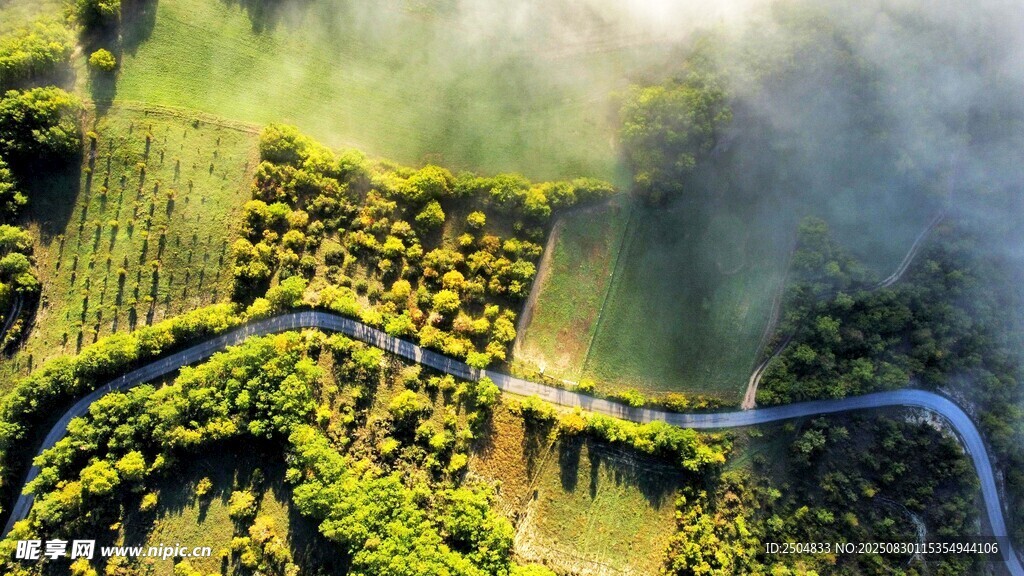 山间蜿蜒公路 绿意盎然