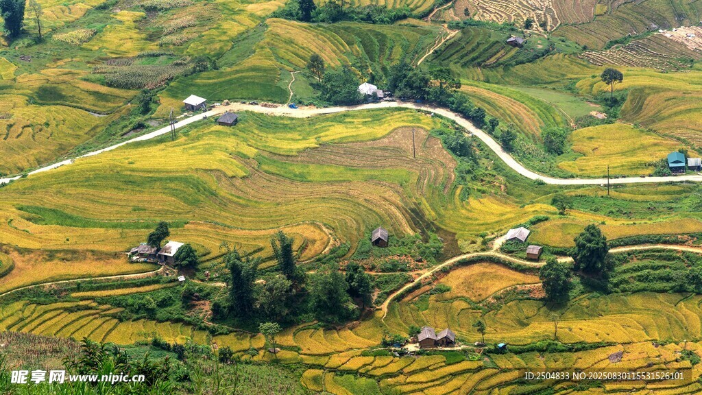 山间梯田美景
