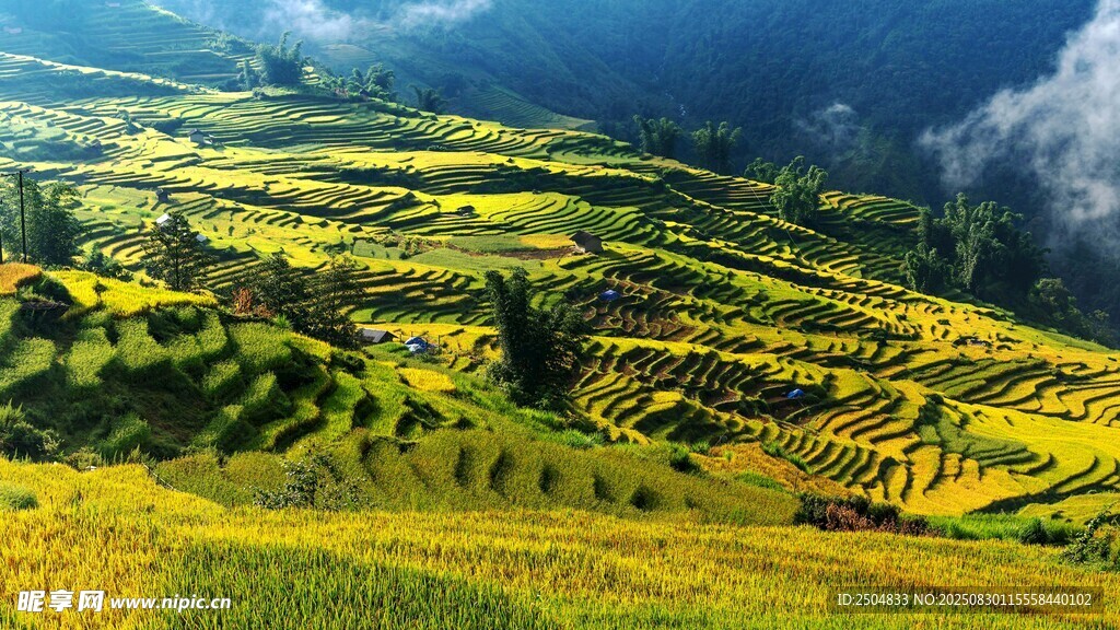 山间梯田美景