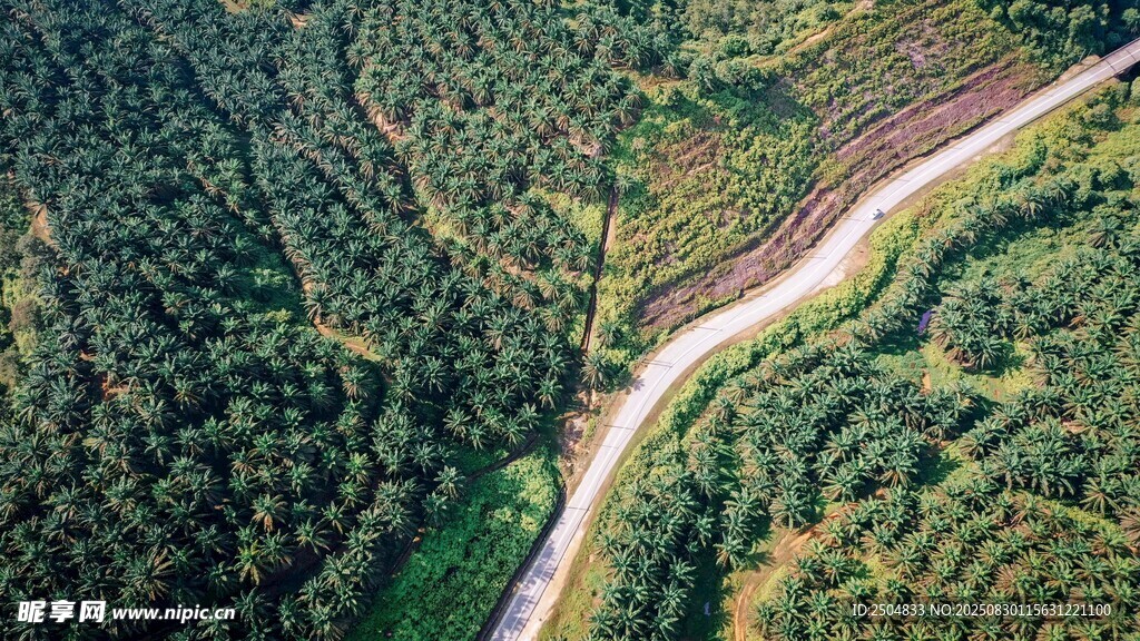 航拍山间蜿蜒公路美景