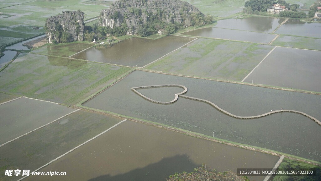 田野间蜿蜒小路航拍景象