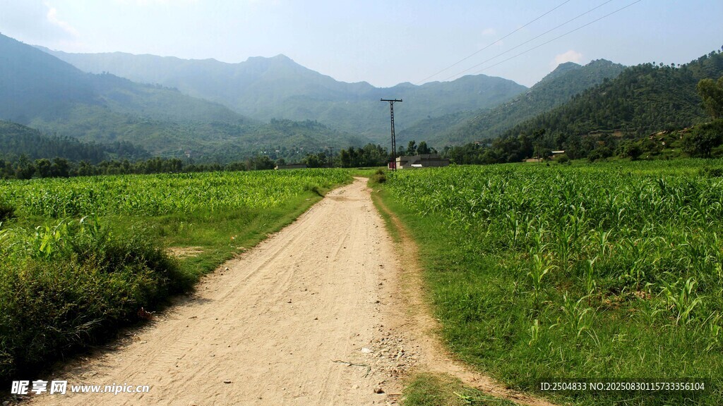 乡间土路穿行于绿野山间