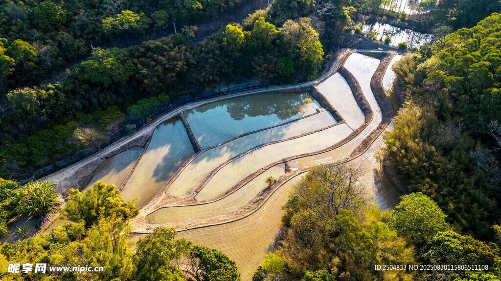 俯瞰山林间的蜿蜒道路