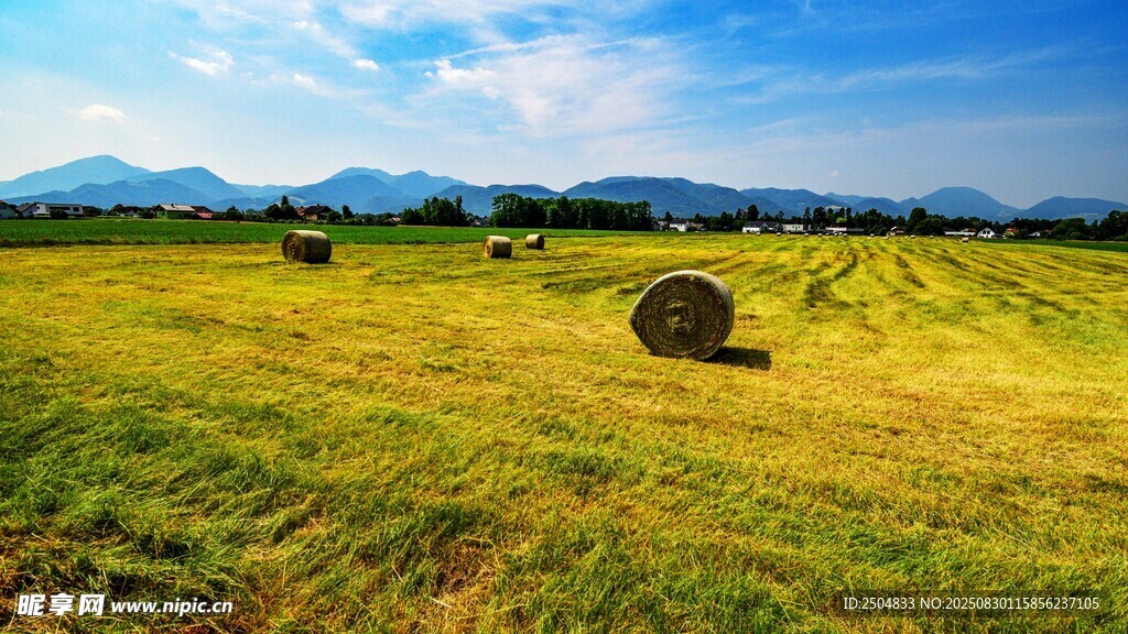 田野中的干草卷风景