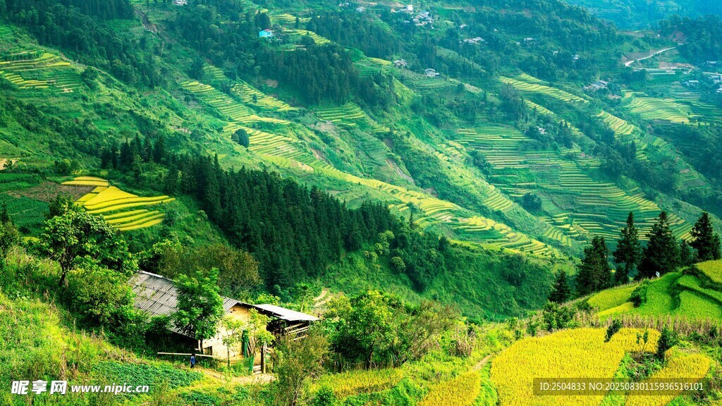 山间田园美景