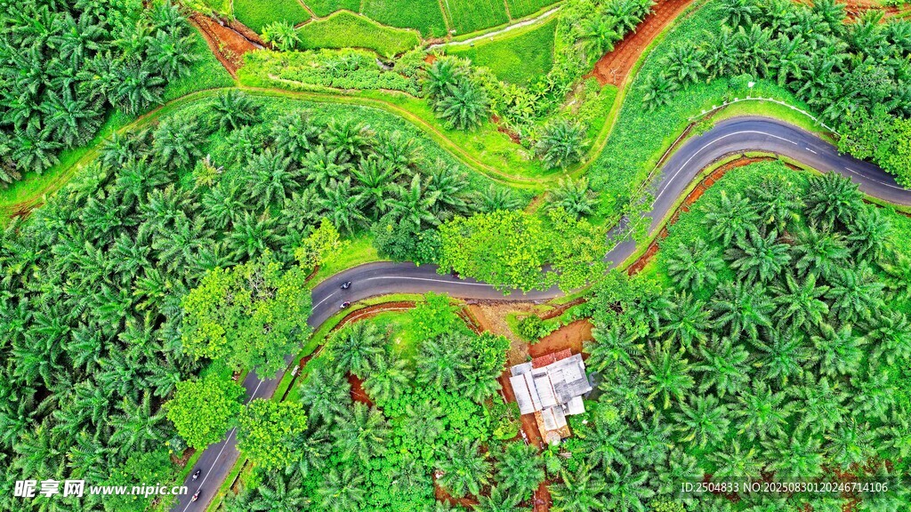 山间蜿蜒公路穿翠绿山林