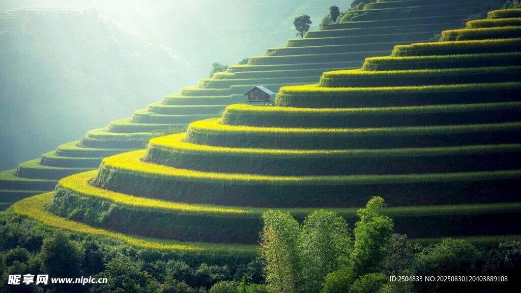 层层叠翠的美丽梯田景观