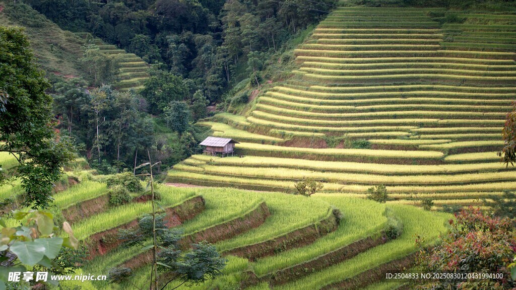 美丽壮观的山间梯田景观