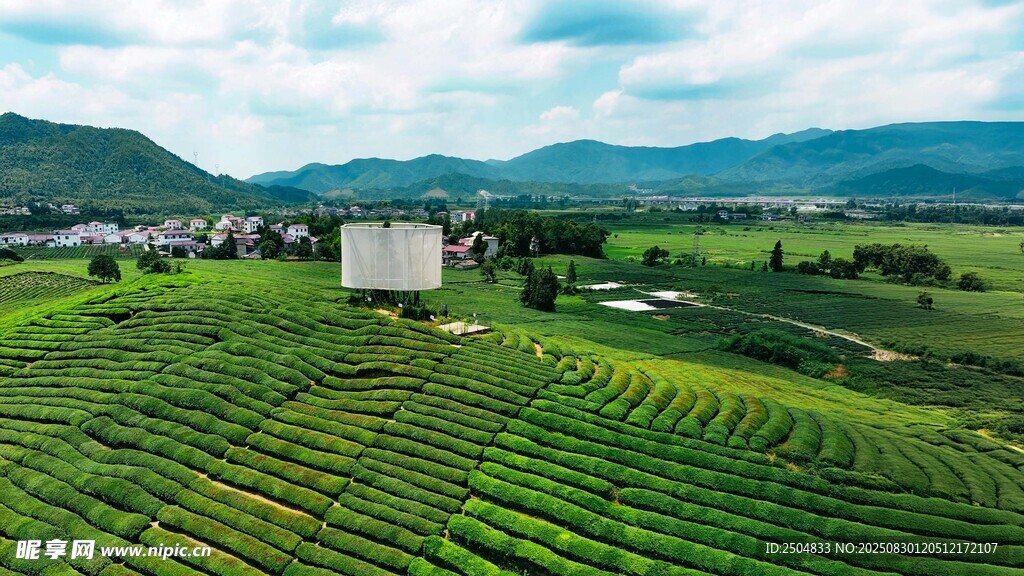 翠绿梯田中的山间建筑