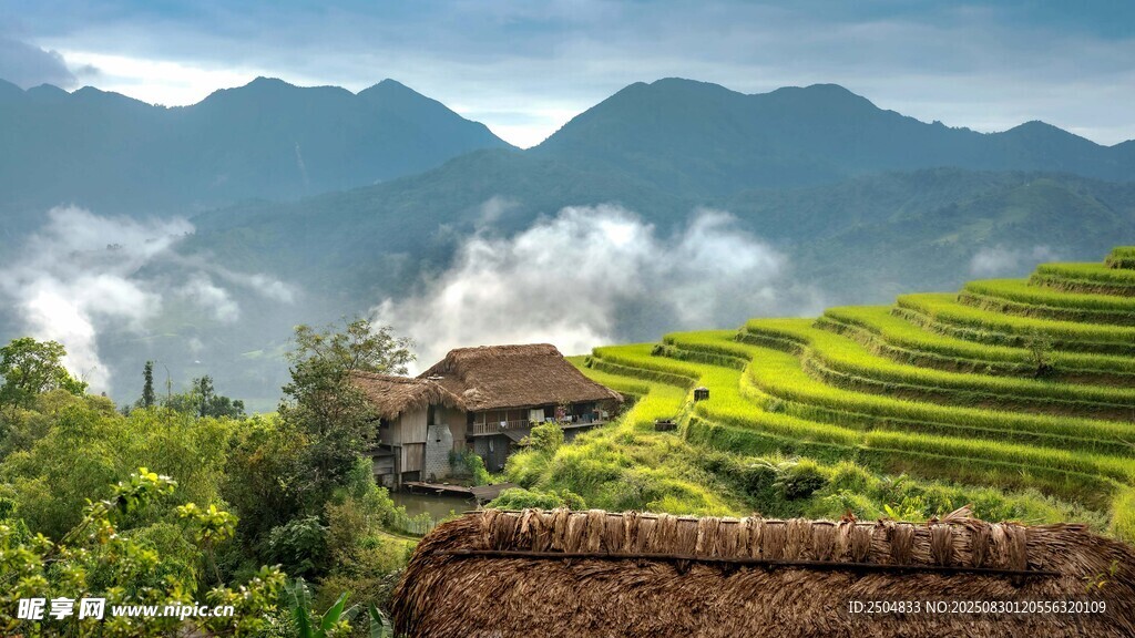山间梯田美景 云雾缭绕
