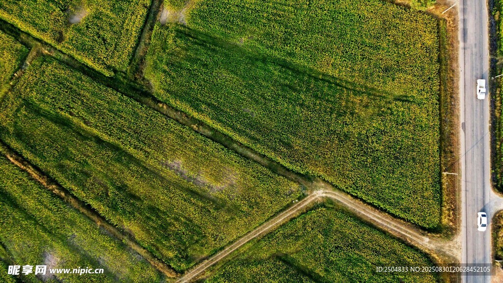 俯瞰田野中的道路