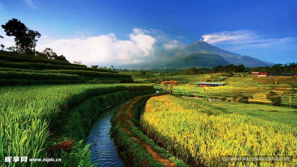 田园风光中的蜿蜒小河