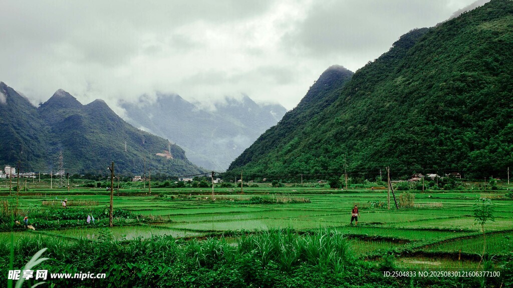 山间绿野田园风光美景