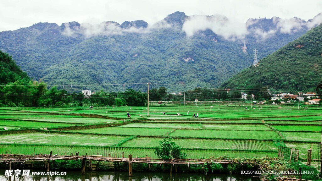 山间梯田美景