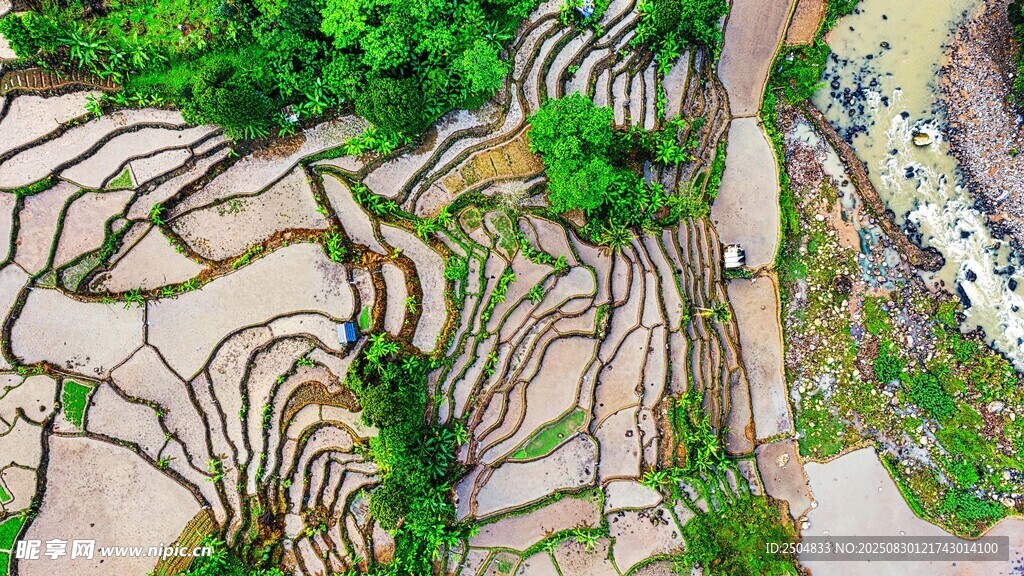 精致园林景观鸟瞰图