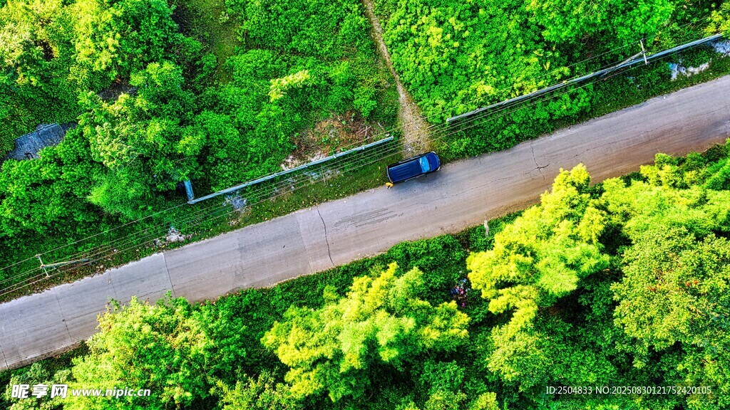 空中俯瞰绿意盎然的道路