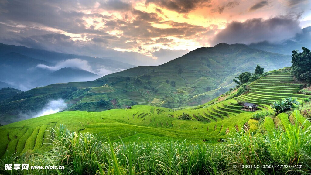 山间晨景 绿野云雾缭绕