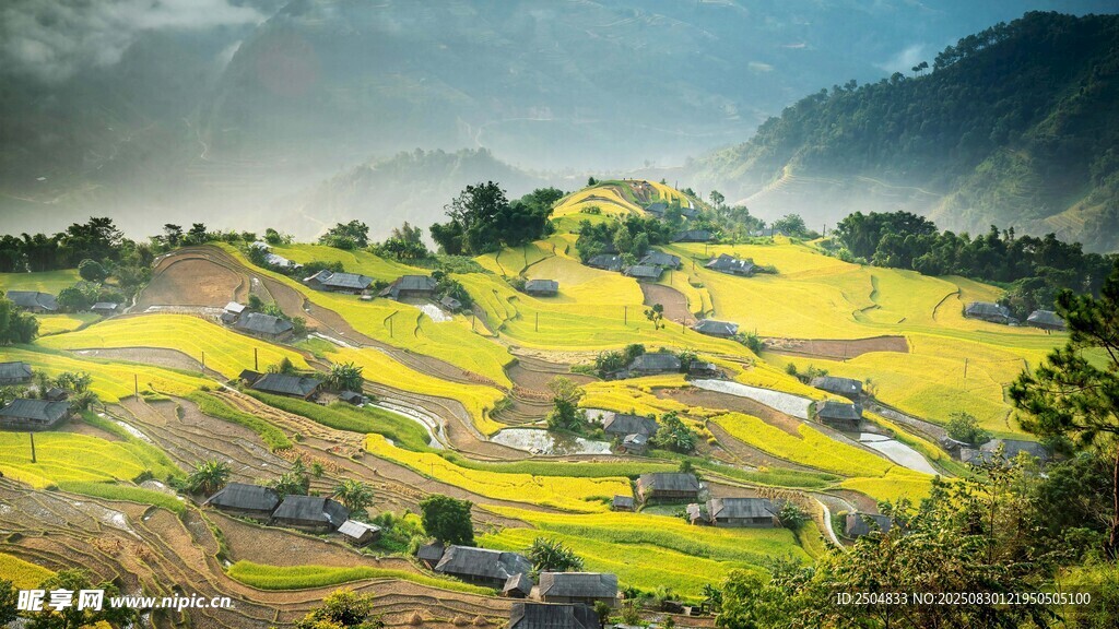 山间梯田美景