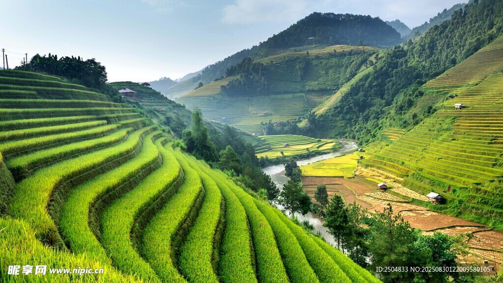 翠绿梯田映山间美景